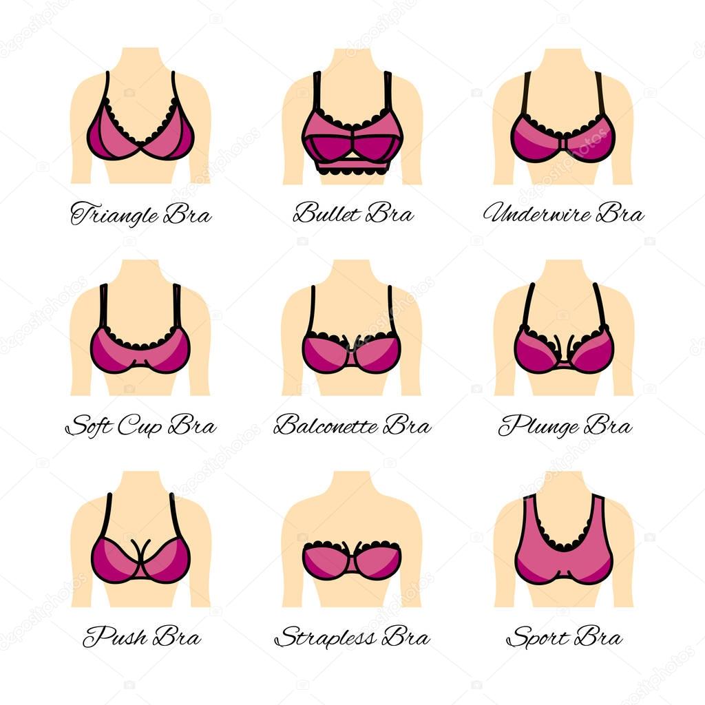 https://st3.depositphotos.com/5740582/13000/v/950/depositphotos_130001130-stock-illustration-icon-tipes-of-bra-kinds.jpg