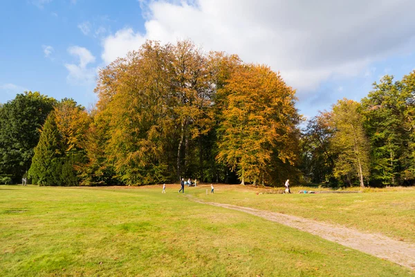 Graveland Holandia Paź 2016 Jesień Drzewa Trawnik Osób Spędzić Słoneczny — Zdjęcie stockowe