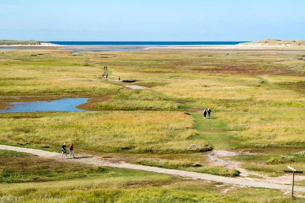 Slufter в дюнах Texel національного природного парку на острові Texel, Netherl — стокове фото