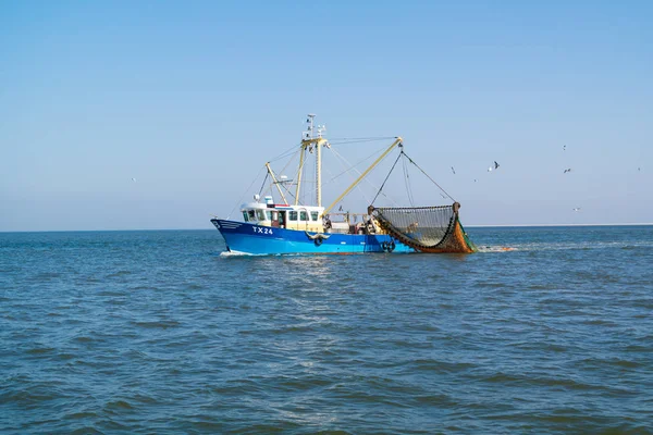 Rybářský člun nebo krevety trauleru provozujícího rybolov na Waddensea, Nizozemsko — Stock fotografie