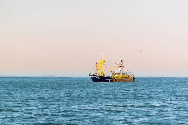 Łodzi rybackich lub trawler krewetkowy prowadzący połowy w Waddensee, Holandia — Zdjęcie stockowe