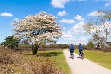 Çocuklar üzerinde bisiklet döngüsü heath kavramını Bahar, Hollanda