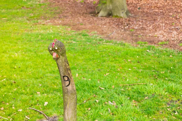 Смішні Дерев Яною Палицею Обличчя Маркування Ходьба Маршруту Парку Boekesteyn — стокове фото