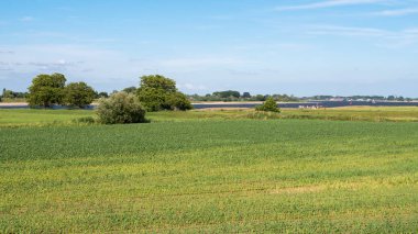 Taşkın ovaları nehir Waal dike yakın Brakel, Bommelerwaard, Gelderland, Hollanda dan Panoraması