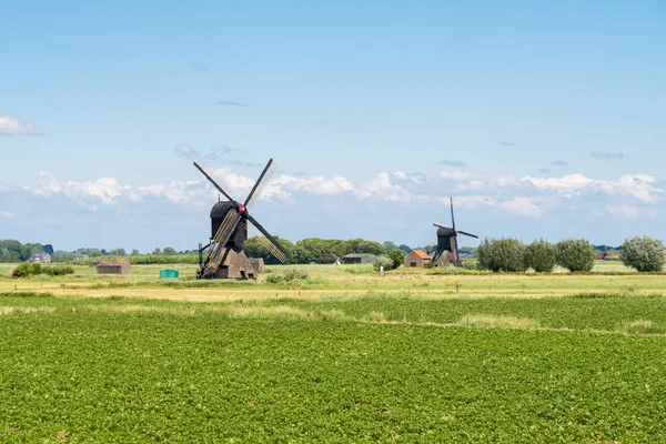 Szélmalmok a polder, Hollandia — Stock Fotó