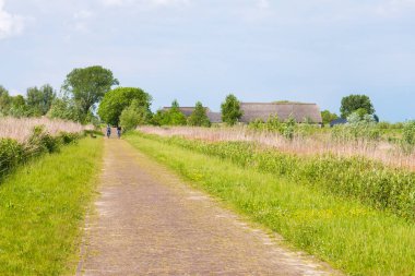 İnsanlar binicilik bisiklet bisiklet yolu Tiengemeten Adası'Haringvliet Haliç, Güney Hollanda, Hollanda