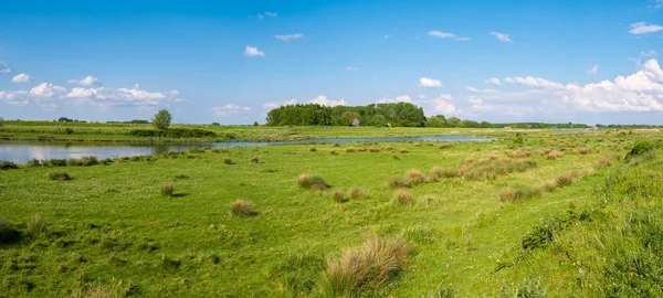 Tiendgorzen Nieuwendijk 네덜란드 네덜란드 Haringvliet 강어귀를 자연의 파노라마 — 스톡 사진