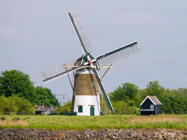 Molino de viento en el dique del río Spui en Nieuw-Beijerland, Países Bajos — Foto de Stock
