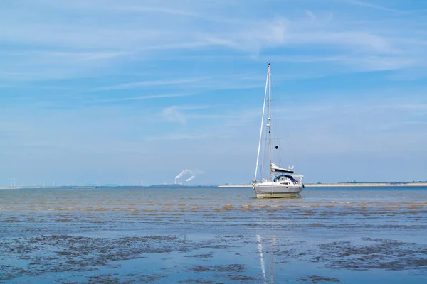 Barca a vela arenata sulla sabbia piatta con bassa marea vicino Rotterdam, Paesi Bassi — Foto Stock