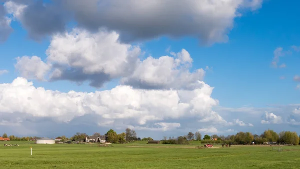 Groene Hartin polderimaisema Alankomaiden Randstadissa, Etelä-Hollannissa — kuvapankkivalokuva