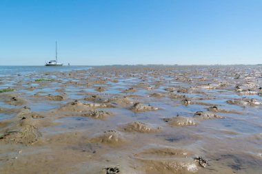 Çamur düz panoraması ile atmalarını kum kurdu ve kurutulmuş dışarı Yelkenli düşük gelgit Waddensea, Hollanda