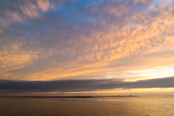 Панорама Waddensea Берегової Лінії Ден Хелдер Печатки Плавального Заході Сонця — стокове фото