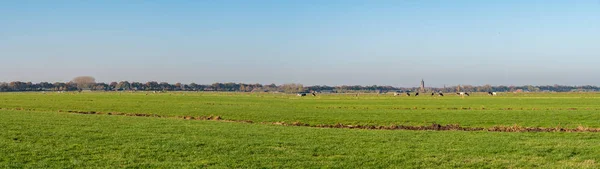 Paisagem polder com prados e torre da igreja de Eemnes, Eempol — Fotografia de Stock