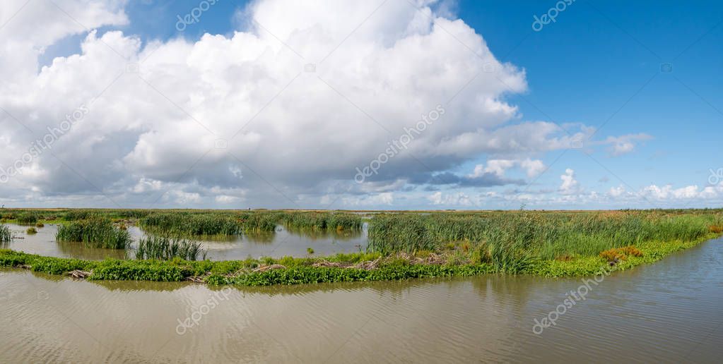 Panorama of marshland on manmade artificial island of Marker Wad