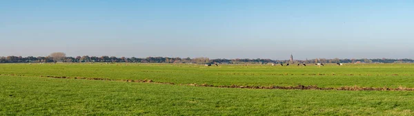 Polderlandschaft mit Wiesen und Kirchturm von eemnes, eempol — Stockfoto