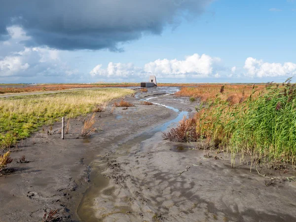 Bird hide and marshes on artificial island Marker Wadden, Marker