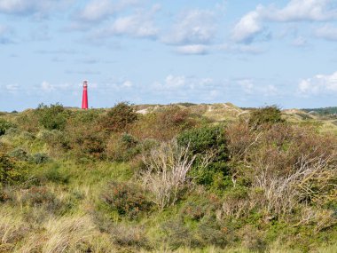 Deniz feneri ve kumullar deniz dikenleriyle kaplanmış, Westerduinen,