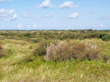 Su kulesiyle kumul manzarası, Schiermonnikoog 'da Westerduinen.