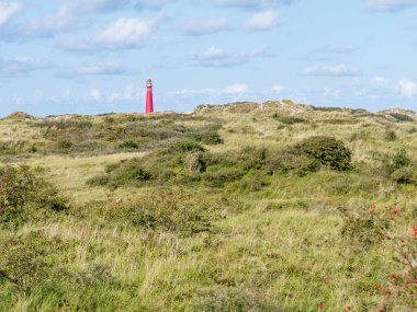 Schiermonnikoog 'un Westerduinen kumullarındaki kuzey kulesi feneri.,