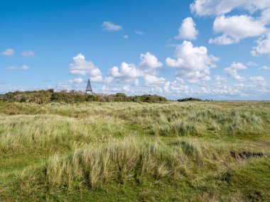 Frizya adası Schiermonnikoog 'un Kobbeduin kumullarındaki fener.
