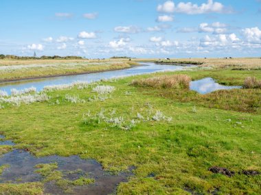 Schiermonnikoog Adası 'ndaki Kobbeduinen yakınlarında tuzlu bataklıkta bir kanal., 
