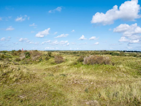 Westerduinen dűnék világítótoronnyal és víztoronnyal a fríz is — Stock Fotó