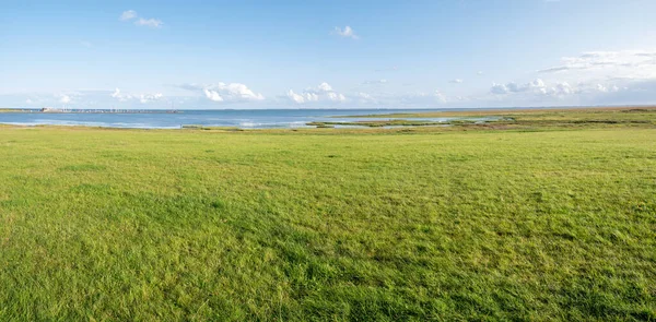 Waddenzeekust met moerassen en haven op Waddeneiland Schie — Stockfoto