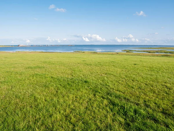 Costa de Waddensea com pântanos e porto na ilha frísio Schie — Fotografia de Stock