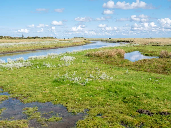 Canal in salt marsh near Kobbeduinen on Schiermonnikoog island, — Stock Photo, Image
