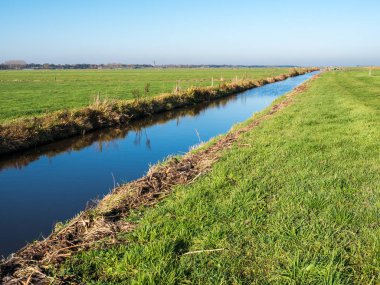 Hollanda Polder Eempolder 'da drenaj çukuru ve kırsal tarım arazisi