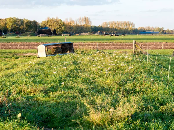 オランダのEempolderにあるオランダの田舎の農地 — ストック写真