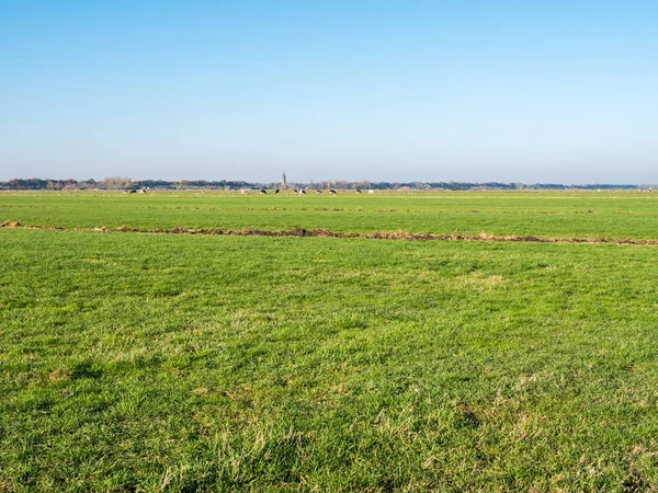 Holland vidéki tájkép a mezőgazdasági földterületekről és rétek a polder Eempolder közelében Eemnes, Hollandia — Stock Fotó