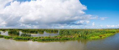 Panorama of marshland on manmade artificial island of Marker Wadden, Markermeer, Netherlands clipart