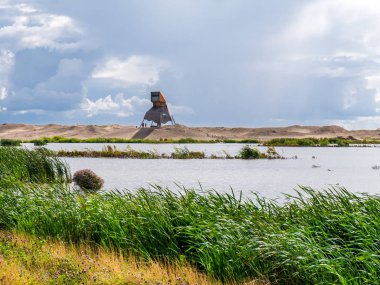 Wadden, Markermeer, Hollanda 'da insan yapımı yapay ada üzerindeki gözlem kulesi ve bataklıklar.