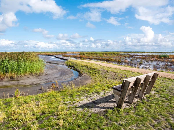 Bench kilátással mocsarak és gyalogút a természeti ösvény Marker Wadden, Markermeer, Hollandia — Stock Fotó