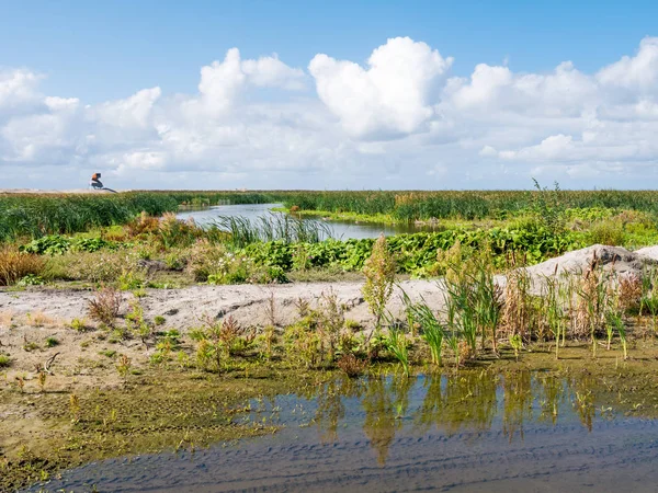 Wieża strażnicza i bagna na sztucznej wyspie Marker Wadden, Markermeer, Holandia — Zdjęcie stockowe