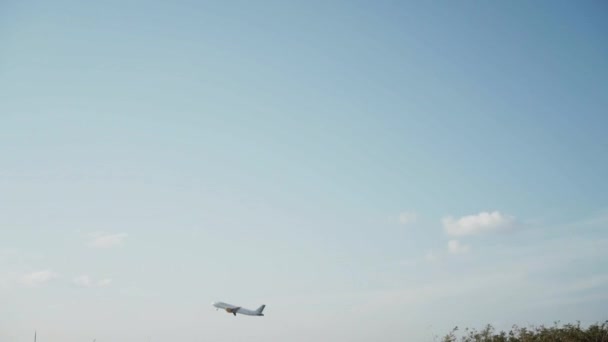 Duży samolot startuje w strefie lotniska — Wideo stockowe