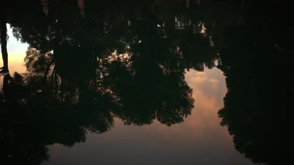 Холодна вода паркового ставка з дзеркальними деревами — стокове відео