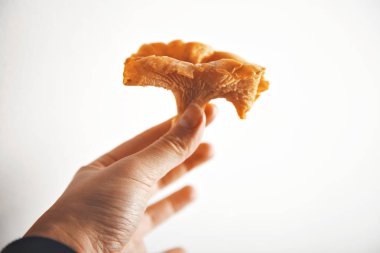 Cantharellus cibarius mantar yakın çekim