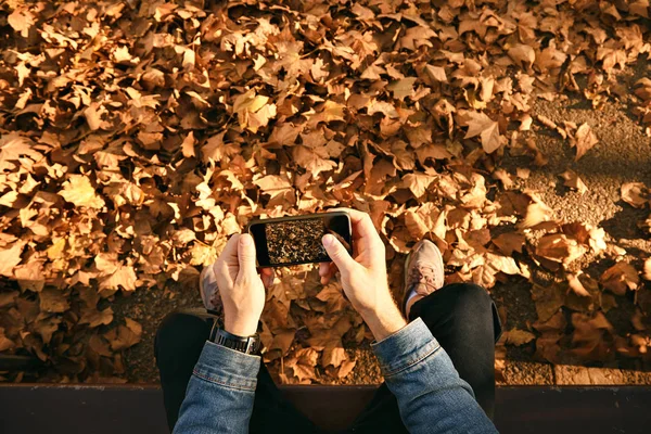 Чоловік фотографує осіннє листя зі смартфоном — стокове фото