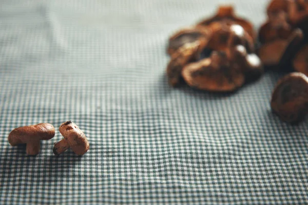 Mushrooms on a blue and white checkered tablecloth — Stock Photo, Image