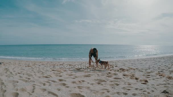 Man plays with his dog — Stock Video