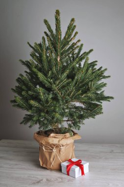Bir hediye ile güzel Noel ağacı