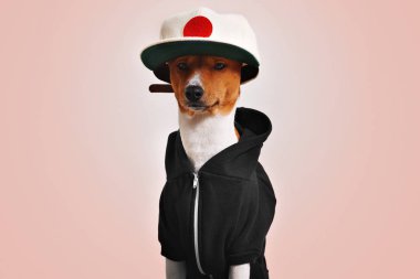 Sevimli köpek hoodie ve kamyon şoförü şapka giymiş