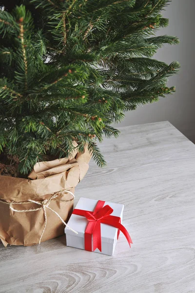 Красивая елка с подарком — стоковое фото