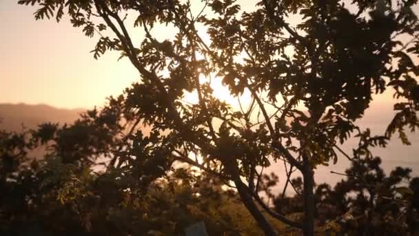 夕阳在山中夏季 — 图库视频影像