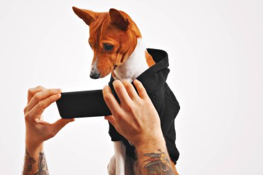 Alçaklık köpek hoodie ile smartphone içinde