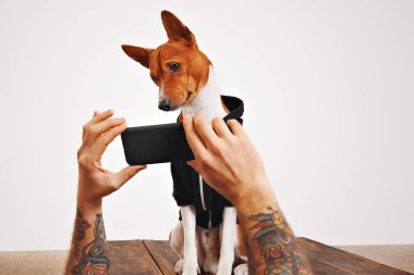 Alçaklık köpek hoodie ile smartphone içinde