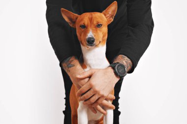 Alçaklık köpek sahibi tarafından sarıldı