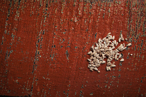 Sunflower seeds on an old painted surface